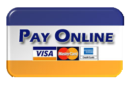 Online Payment